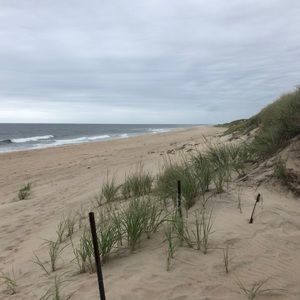 Meet your Posher, Pamela